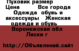 Пуховик размер 42-44 › Цена ­ 750 - Все города Одежда, обувь и аксессуары » Женская одежда и обувь   . Воронежская обл.,Лиски г.